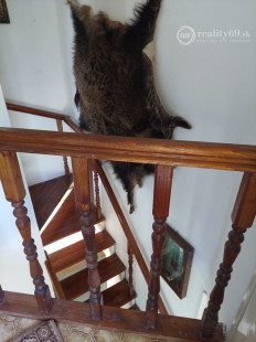 MAĎARSKO - TELKIBÁNYA RODINNÁ USADLOSŤ V LONE PRÍRODY.