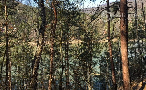 RUŽÍN - ROLOVA HUTA POZEMOK NA VÝSTAVBU CHATY V KRÁSNOM LESNOM PROSTREDÍ.
