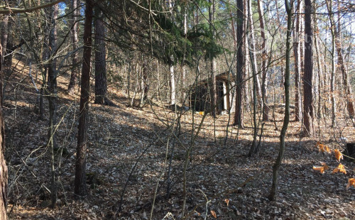 RUŽÍN - ROLOVA HUTA POZEMOK NA VÝSTAVBU CHATY V KRÁSNOM LESNOM PROSTREDÍ.