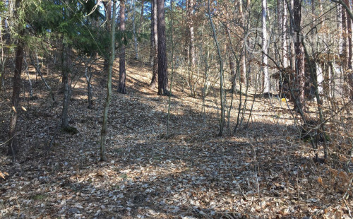 RUŽÍN - ROLOVA HUTA POZEMOK NA VÝSTAVBU CHATY V KRÁSNOM LESNOM PROSTREDÍ.