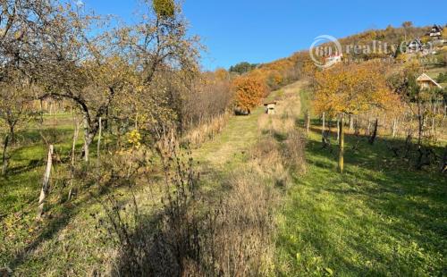 REZERVOVANÉ - VINNÉ - STAVEBNÝ POZEMOK NA CHATU, NA VÝBORNOM MIESTE.