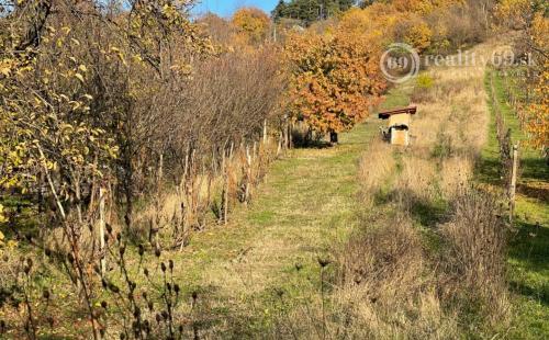 REZERVOVANÉ - VINNÉ - STAVEBNÝ POZEMOK NA CHATU, NA VÝBORNOM MIESTE.