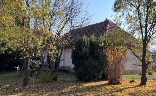 REZERVOVANÉ - MAĎARSKO - VAGASHUTA - ZARIADENÁ 3 IZBOVÁ CHALUPA PO REKONŠTRUKCII, V TICHOM PROSTREDÍ.