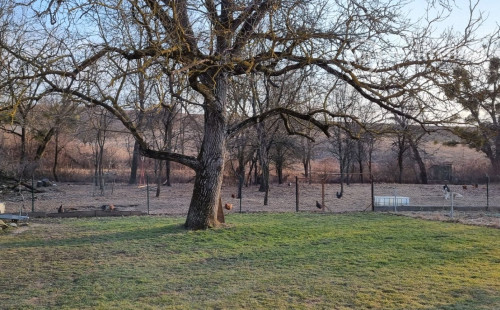 MAĎARSKO - HORNÝ KÉKED 3 IZBOVÝ DOM 5000m2 POZEMOK