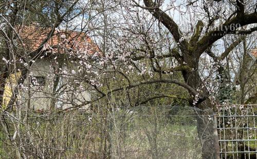 SEŇA - POSCHODOVÁ MUROVANÁ CHATA, POZEMOK 365 M2.