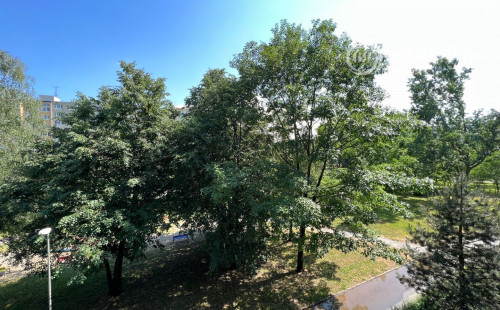 REZERVOVANÉ - JUH - KRAKOVSKÁ 4 IZBOVÝ BYT VÝBORNÝ STAV, LODŽIA, KOMORA