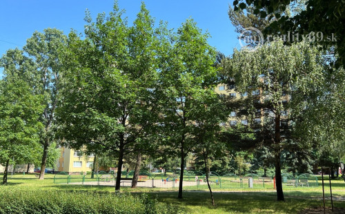 REZERVOVANÉ - JUH - KRAKOVSKÁ 4 IZBOVÝ BYT VÝBORNÝ STAV, LODŽIA, KOMORA