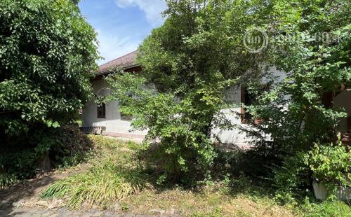 MAĎARSKO - MÁD  2 DOMY V TOP LOKALITE S VEĽKOU ZÁHRADOU