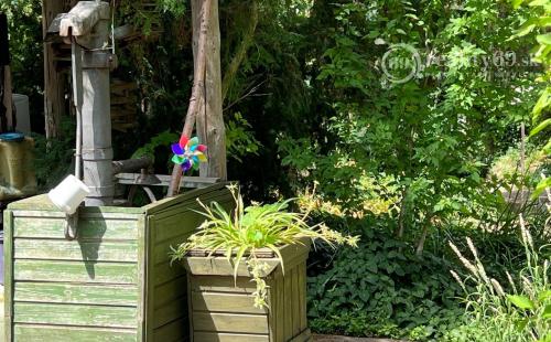 MAĎARSKO - MÁD  2 DOMY V TOP LOKALITE S VEĽKOU ZÁHRADOU