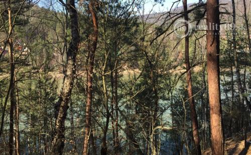 RUŽÍN - ROLOVA HUTA POZEMOK NA VÝSTAVBU CHATY V KRÁSNOM LESNOM PROSTREDÍ.