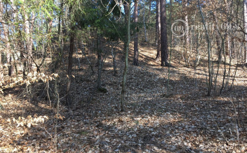 RUŽÍN - ROLOVA HUTA POZEMOK NA VÝSTAVBU CHATY V KRÁSNOM LESNOM PROSTREDÍ.