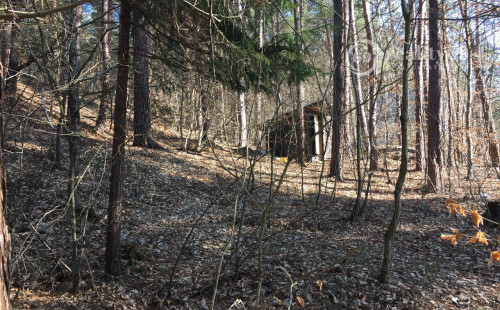 RUŽÍN - ROLOVA HUTA POZEMOK NA VÝSTAVBU CHATY V KRÁSNOM LESNOM PROSTREDÍ.