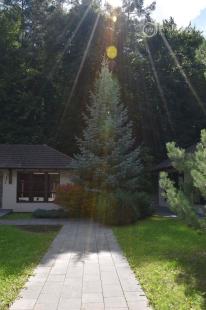 MAĎARSKO - TELKIBÁNYA  ARANYGOMBOS FOGADÓ WELNES  REŠTAURÁCIA.