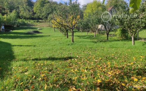 MAĎARSKO - ARKA 750 M2 -  SUPER STAVEBNÝ POZEMOK.