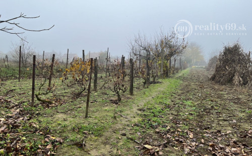 MAĎARSKO - KARCSA RODINNÝ DOMČEK PRE RYBÁRA  ALEBO ZÁHRADKÁRA  LEN 5 KM OD HRANÍC.