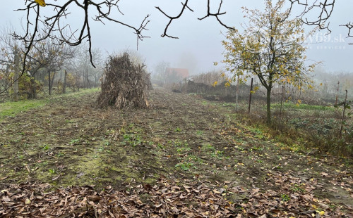 MAĎARSKO - KARCSA RODINNÝ DOMČEK PRE RYBÁRA  ALEBO ZÁHRADKÁRA  LEN 5 KM OD HRANÍC.