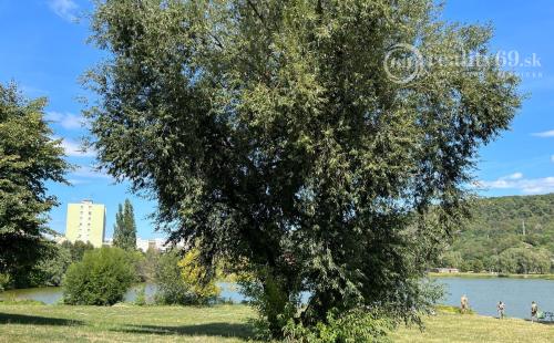 REZERVOVANÉ - NOVÁ CENA - JAZERO - AZOVSKÁ - VEĽKÝ 1 IZBOVÝ BYT 42 M2, PO KOMPLETNEJ REKONŠTRUKCII.