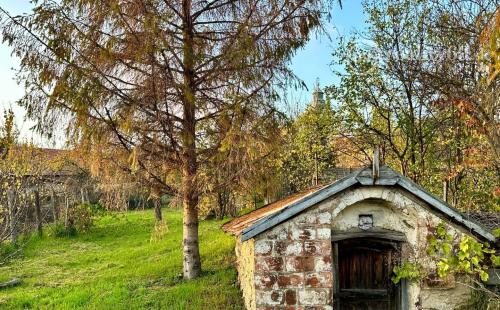 MAĎARSKO - GONC 3 IZBOVÝ RD ZAČATÁ REKONŠTRUKCIA SUPER MIESTO