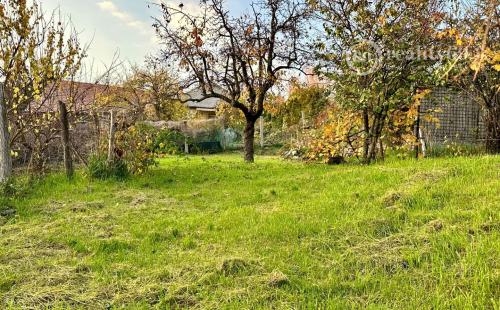 MAĎARSKO - GONC 3 IZBOVÝ RD ZAČATÁ REKONŠTRUKCIA SUPER MIESTO