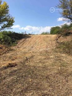 NOVÁ SUPER CENA - BARCA - ČERVENÝ RAK REKREAČNÝ POZEMOK S ROZLOHOU 2.500 M2 V ZAHRADKÁRSKEJ LOKALITE