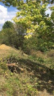 NOVÁ SUPER CENA - BARCA - ČERVENÝ RAK REKREAČNÝ POZEMOK S ROZLOHOU 2.500 M2 V ZAHRADKÁRSKEJ LOKALITE