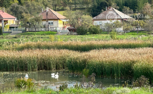 MAĎARSKO - JAZERO RAKACA - 2 IZBOVÁ MUROVANÁ POSCHODOVÁ CHATA PRI JAZERE S TERASOU.