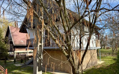 MAĎARSKO - TISZACSEGE - POSCHODOVÁ CHATA SO SLAMENOU STRECHOU, TERASA, PRI RIEKE TISZA A TERMÁLNOM KÚPALISKU.