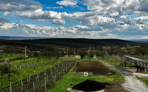 MAĎARSKO - EDELÉNY PEKNÝ RODINNÝ DOM S VEĽKÝM POZEMKOM LEN 85KM OD KOŠÍC
