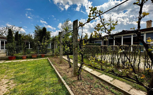 MAĎARSKO - FORRÓ - 3 RODINNÉ DOMY S PRÍSLUŠENSTVOM, VEĽKÝ POZEMOK.