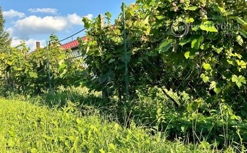 NOVÁ CENA ! MAĎARSKO - GONCZRUSZKA RD IHNEĎ OBÝVATEĽNÝ V TICHEJ LOKALITE OBCE