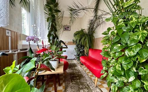 EXKLUZÍVNE MAĎARSKO - SZENDRO SUPER 3 IZBOVÝ RODINNÝ DOM PO REKONŠTRUKCII.