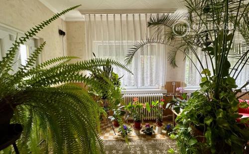 EXKLUZÍVNE MAĎARSKO - SZENDRO SUPER 3 IZBOVÝ RODINNÝ DOM PO REKONŠTRUKCII.