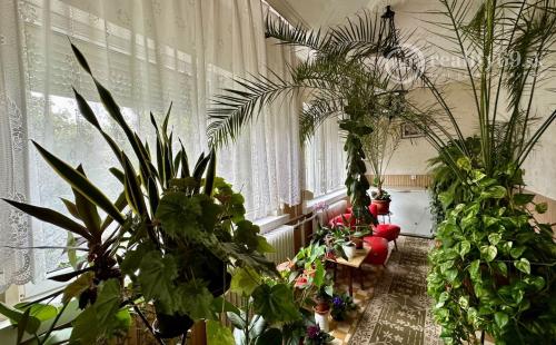 EXKLUZÍVNE MAĎARSKO - SZENDRO SUPER 3 IZBOVÝ RODINNÝ DOM PO REKONŠTRUKCII.