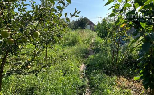 MAĎARSKO - PÁCIN MENŠÍ 2 IZBOVÝ RODINNÝ DOMČEK 500 M OD HRANÍC