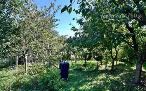 MAĎARSKO - MÉRA - PEKNÝ 6 IZBOVÝ ZREKONŠTRUOVANÝ GAZDOVSKÝ DOM.