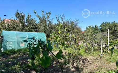 MAĎARSKO - MÉRA - PEKNÝ 6 IZBOVÝ ZREKONŠTRUOVANÝ GAZDOVSKÝ DOM.