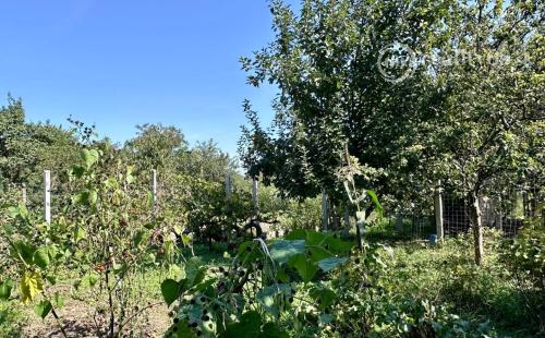 MAĎARSKO - MÉRA - PEKNÝ 6 IZBOVÝ ZREKONŠTRUOVANÝ GAZDOVSKÝ DOM.