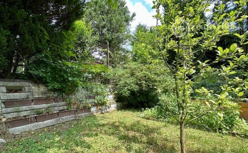 VYŠNÁ HUTKA -  DREVENÁ CHATA S KUCHYNKOU, TERASA, SKLAD, UPRAVENÝ POZEMOK.