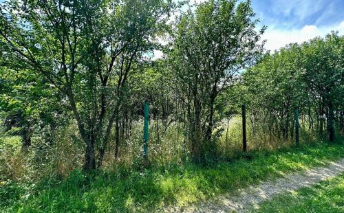 OPÁTSKE - MUROVANÁ CHATA NA PEKNOM MIESTE V OSOBNOM VLASTNÍCTVE.