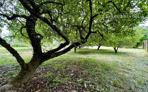 BOHDANOVCE - POSCHODOVÁ DREVENÁ CHATA, UPRAVENÝ POZEMOK.