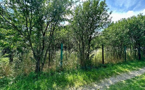 OPÁTSKE - MUROVANÁ CHATA NA PEKNOM MIESTE V OSOBNOM VLASTNÍCTVE.