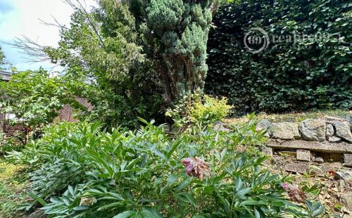 VYŠNÁ HUTKA -  DREVENÁ CHATA S KUCHYNKOU, TERASA, SKLAD, UPRAVENÝ POZEMOK.