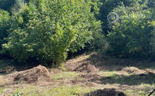 MAĎARSKO - NAGYHUTA PEKNÝ STAVEBNÝ POZEMOK VHODNÝ NA VÝSTAVBU RD, CHATY 4.692 M2.