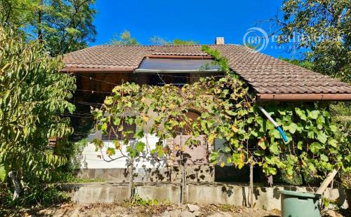 KRÁĽOVSKÝ CHLMEC - CHATA S VINNOU PIVNICOU A UDRŽIAVANOU VINICOU.