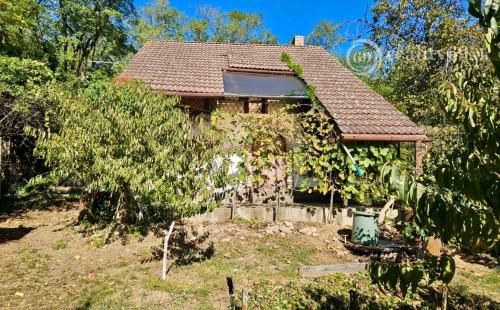 KRÁĽOVSKÝ CHLMEC - CHATA S VINNOU PIVNICOU A UDRŽIAVANOU VINICOU.