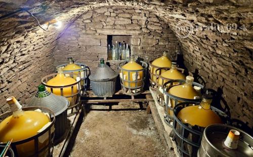 KRÁĽOVSKÝ CHLMEC - CHATA S VINNOU PIVNICOU A UDRŽIAVANOU VINICOU.