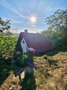 KRÁĽOVSKÝ CHLMEC - CHATA S VINNOU PIVNICOU A UDRŽIAVANOU VINICOU.