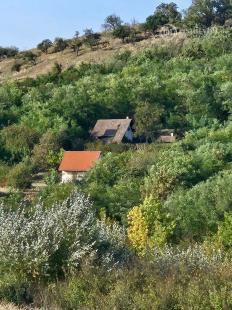 KRÁĽOVSKÝ CHLMEC - CHATA S VINNOU PIVNICOU A UDRŽIAVANOU VINICOU.
