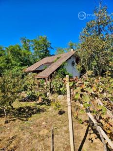 KRÁĽOVSKÝ CHLMEC - CHATA S VINNOU PIVNICOU A UDRŽIAVANOU VINICOU.