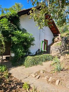 KRÁĽOVSKÝ CHLMEC - CHATA S VINNOU PIVNICOU A UDRŽIAVANOU VINICOU.